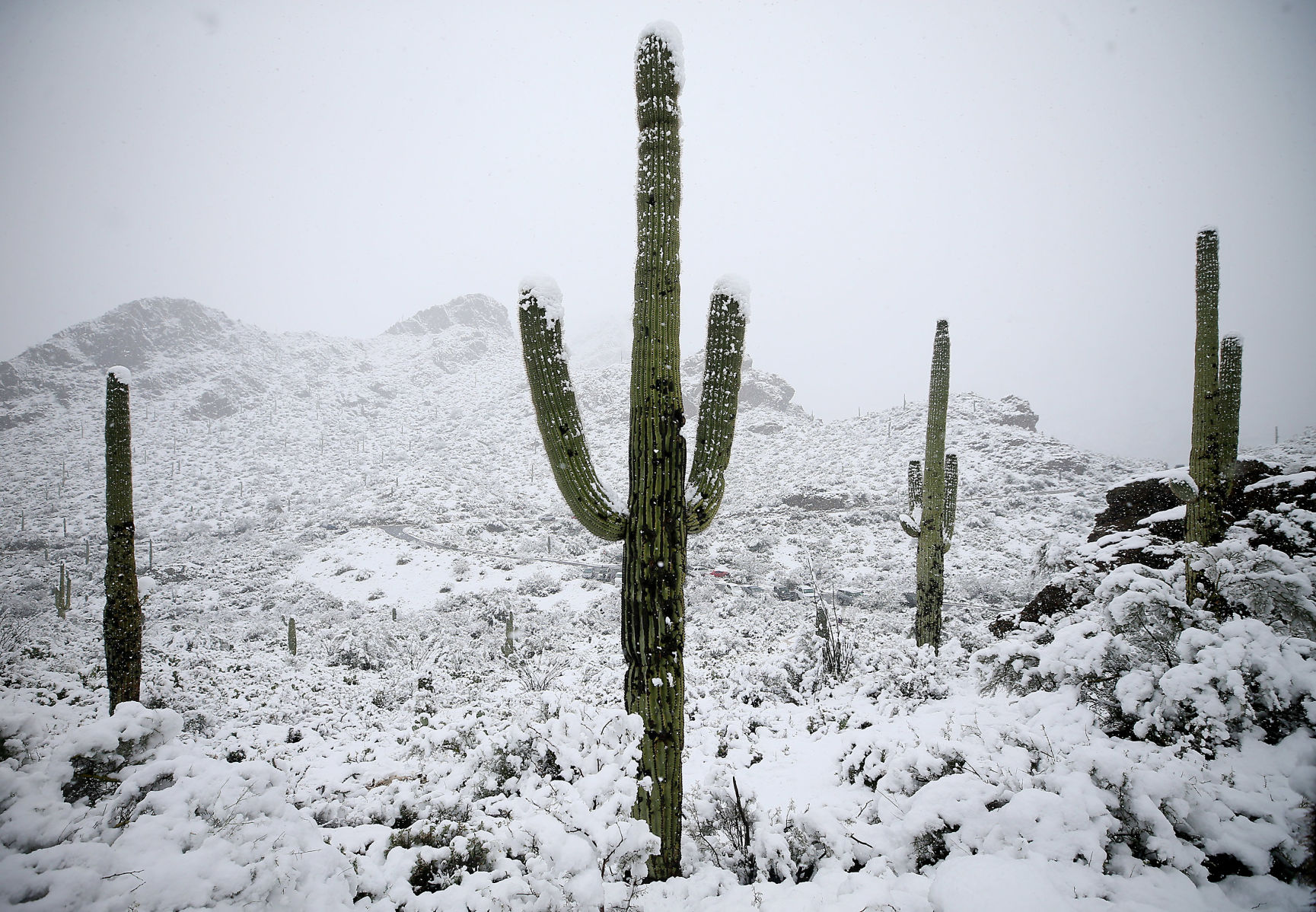 Snow in the Old Pueblo